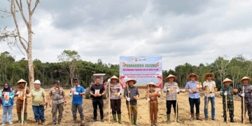 Bupati Ketapang Tanam Jagung di Manis Mata