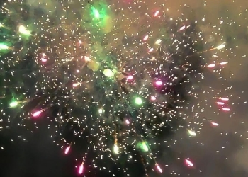 TPID Kalbar Gelar HLM, Perkuat Pengendalian Inflasi Jelang Imlek, Ramadhan dan Idulfitri