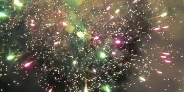 TPID Kalbar Gelar HLM, Perkuat Pengendalian Inflasi Jelang Imlek, Ramadhan dan Idulfitri