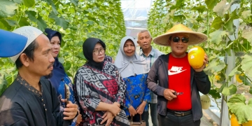 Manfaatkan Pekarangan Rumah Jadi Nilai Ekonomi